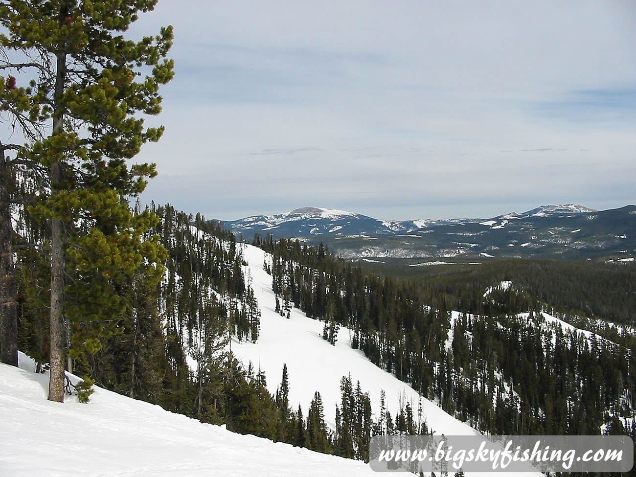 Steeper Terrain at Showdown Ski Area