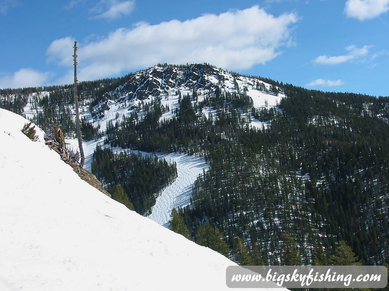 Mogul Run at Montana Snowbowl