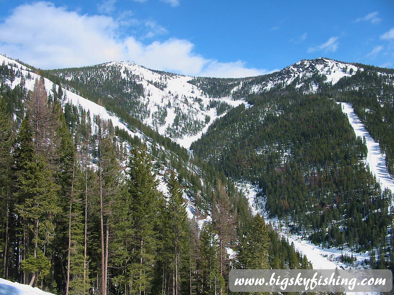 View of the Main Bowl at Montana Snowbowl