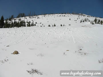 Wind Blown Snow