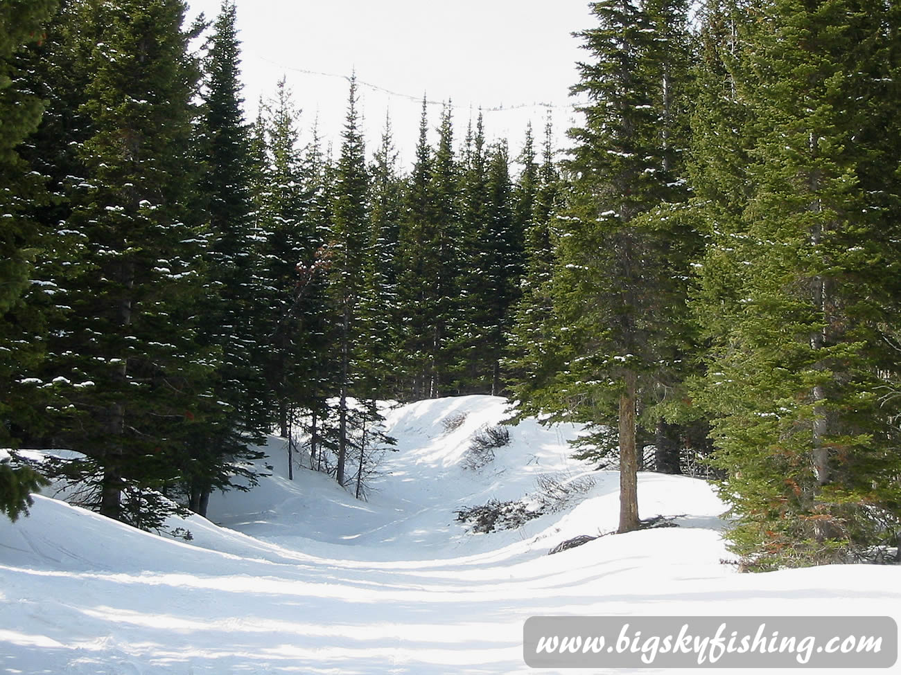 Gully Skiing at Teton Pass