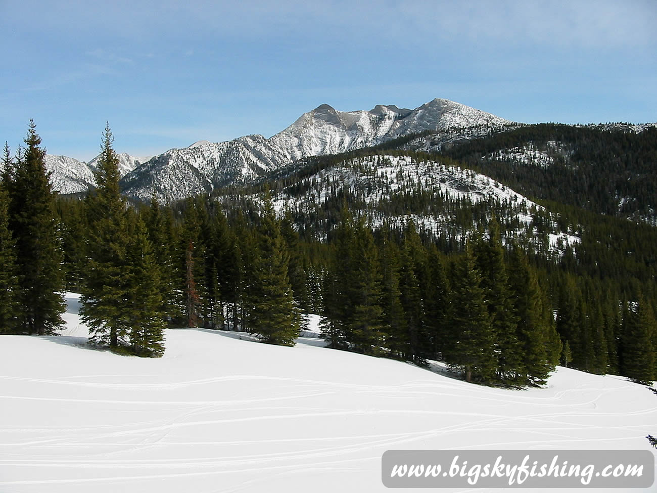 Scenic Views & Fresh Tracks