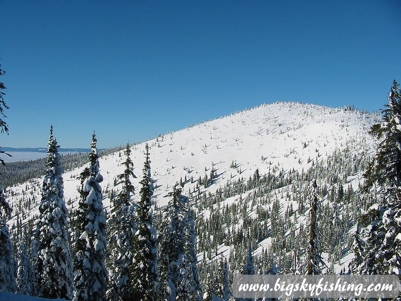 Hellroaring Peak at Whitefish Mountain Resort