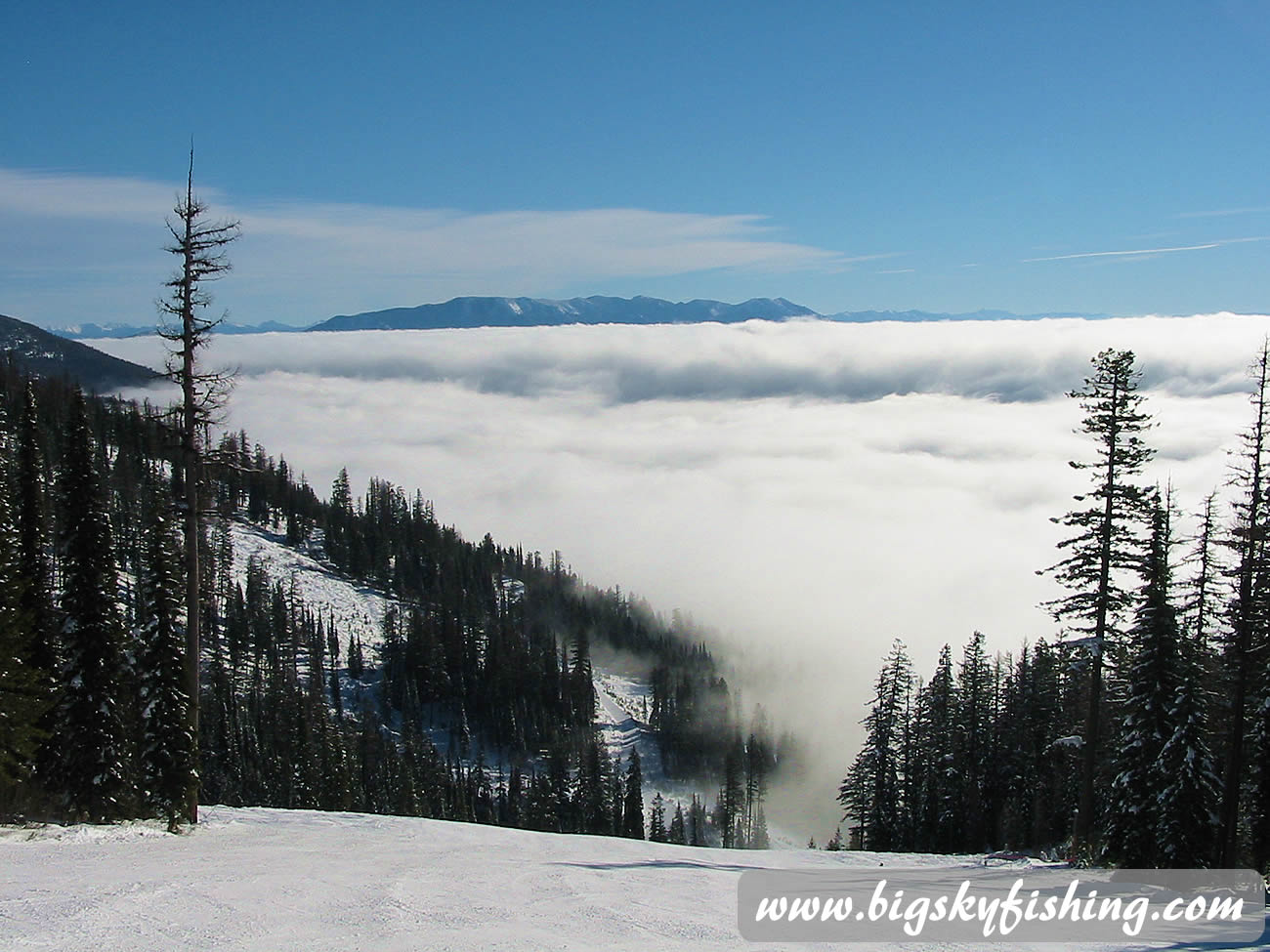 Toni Matt Ski Trail at Whitefish Mountain