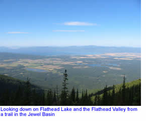 Flathead Valley seen from Jewel Basin