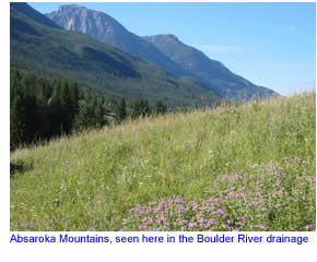 Absaroka Mountains