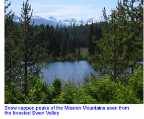 Mission Mountains seen from the Swan Valley