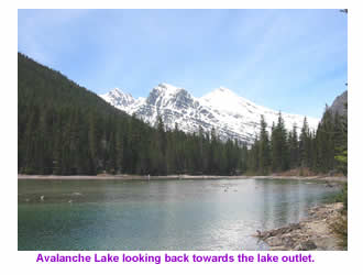 Looking north back over Avalanche Lake