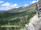 Swiftcurrent Mountain seen from the Highline Trail