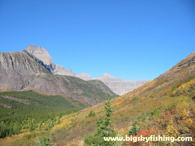 Mt. Wilbur and the "Ptarmigan Wall"