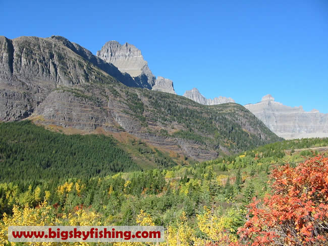 View from the Lower Iceberg Lake Trail