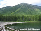 "Log Jam" at the end of Trout Lake