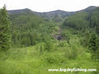 Avalanche Corridor on the Trout Lake Corridor