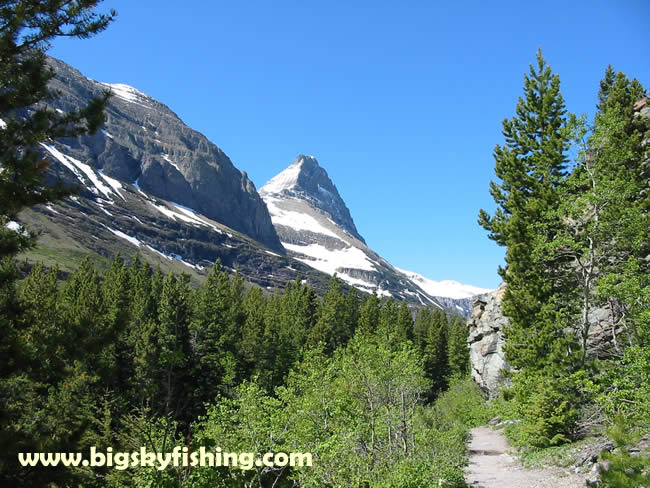 Another View from the Swiftcurrent Hiking Trail