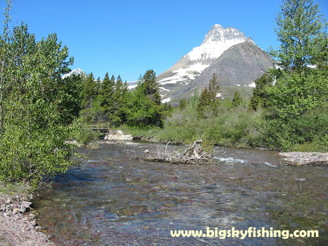 Mt. Wilbur and Swiftcurrent Creek