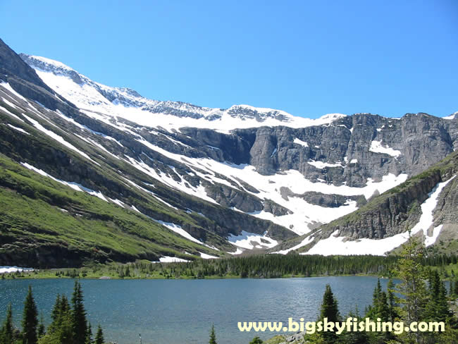 Mt. Wilbur and Swiftcurrent Creek