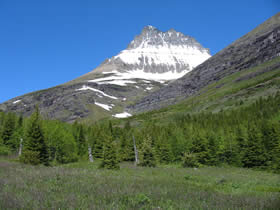 Mt. Wilbur seen from the Swiftcurrent Pass Trail