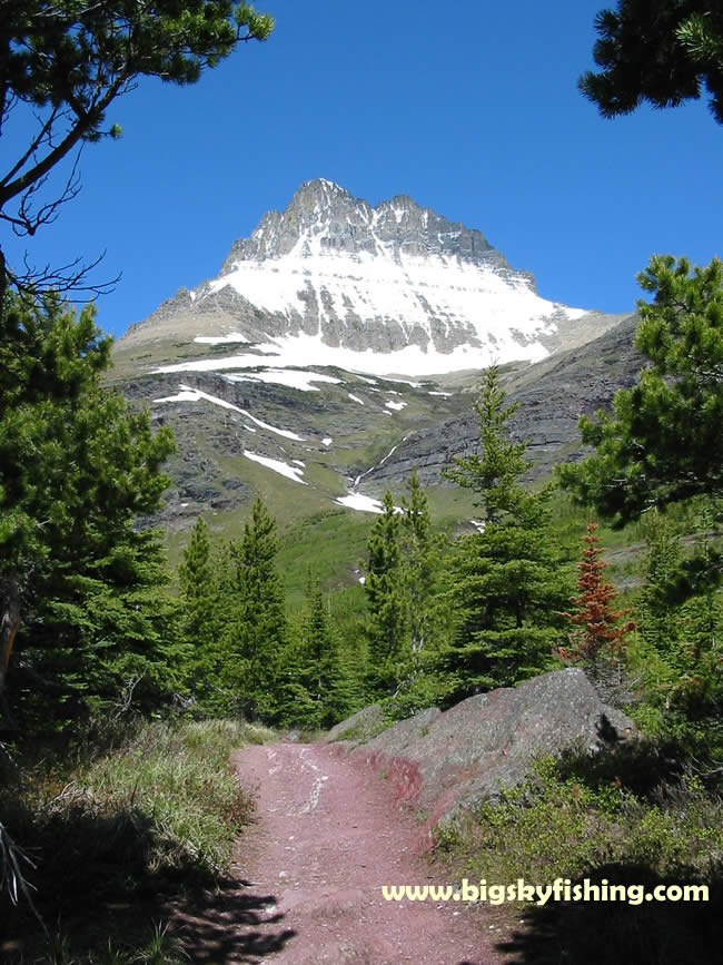 Mt. Wilbur and the Swiftcurrent Pass Hiking Trail