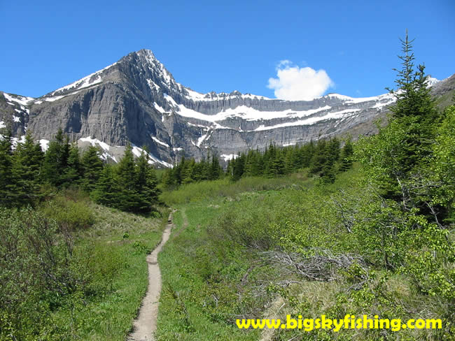 The Swiftcurrent Pass Trail and Swiftcurrent Mountain