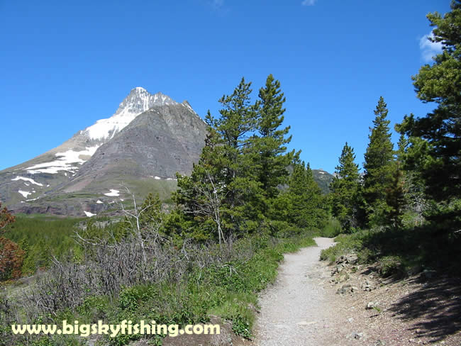 Mt. Wilbur seen from the Swiftcurrent Pass Trail