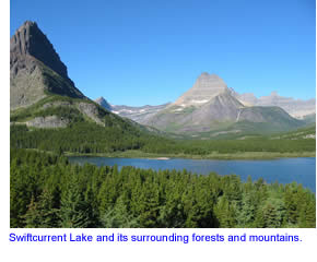 Swiftcurrent Lake in Glacier National Park