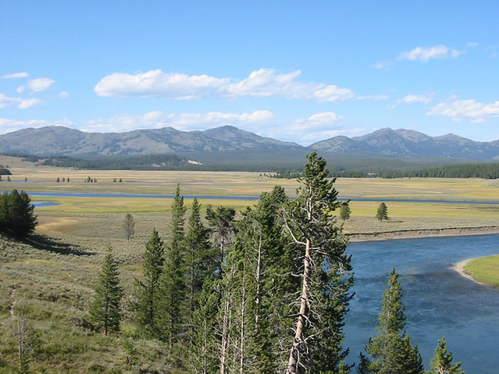 Yellowstone River in Hayden Valley