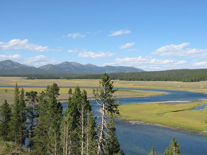 Yellowstone River in the Hayden Valley