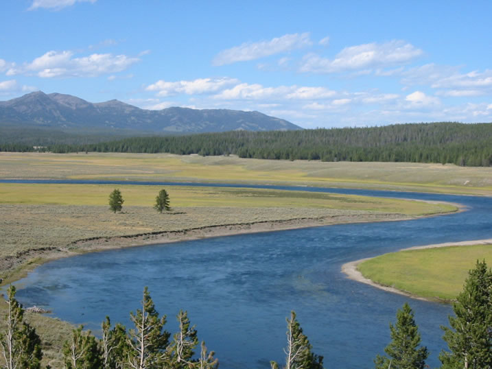 Yellowstone River twists through the Hayden Valley