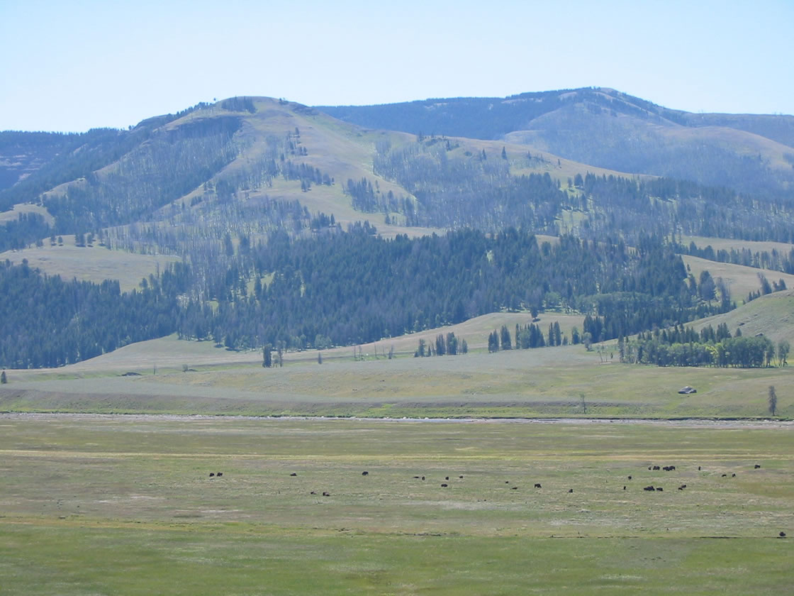 Lamar Valley in Yellowstone National Park