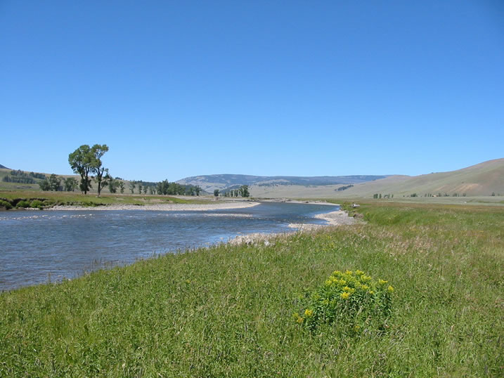 Lamar River in Yellowstone National Park