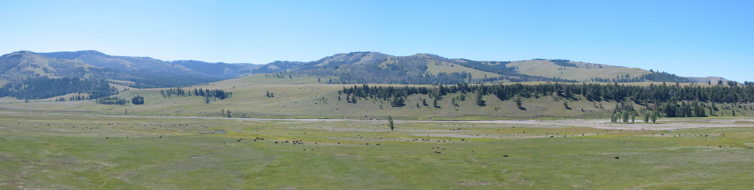 Panaromic shot of the Lamar River Valley