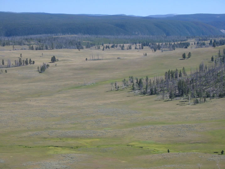 Big Valleys are a Yellowstone National Park trademark