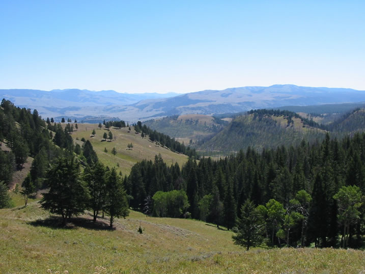 View from Blacktail Plateau