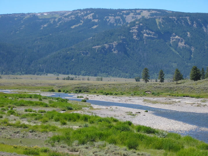 Soda Butte Creek at Lamar River confluence