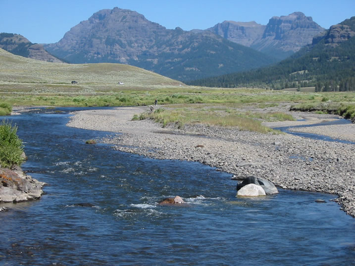 Soda Butte Creek near confluence with Lamar River