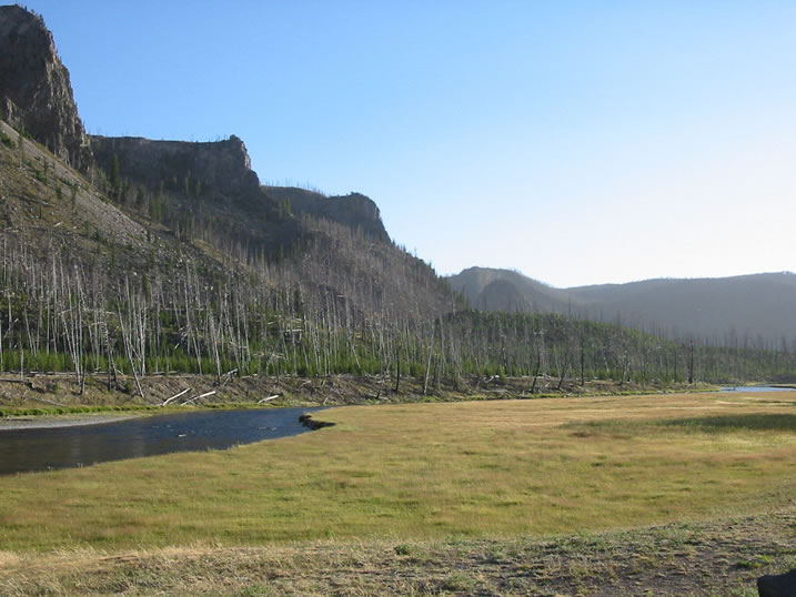 Madison River in Yellowstone National Park