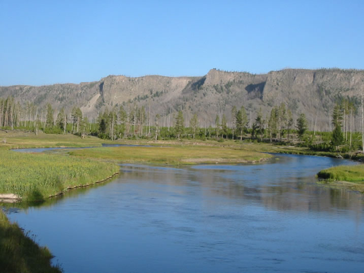 Madison River in Yellowstone National Park