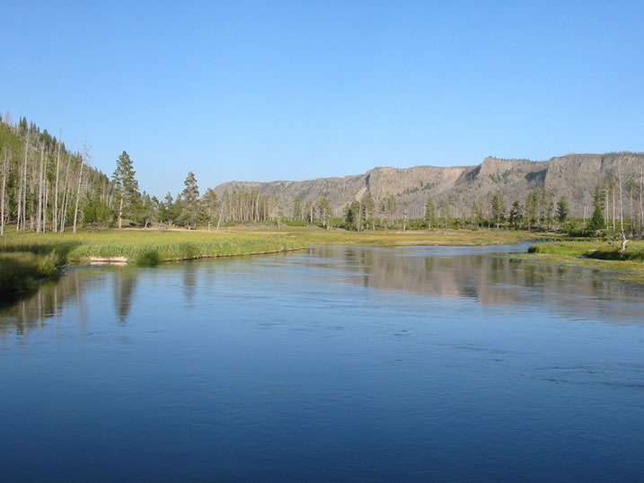 Madison River in Yellowstone National Park