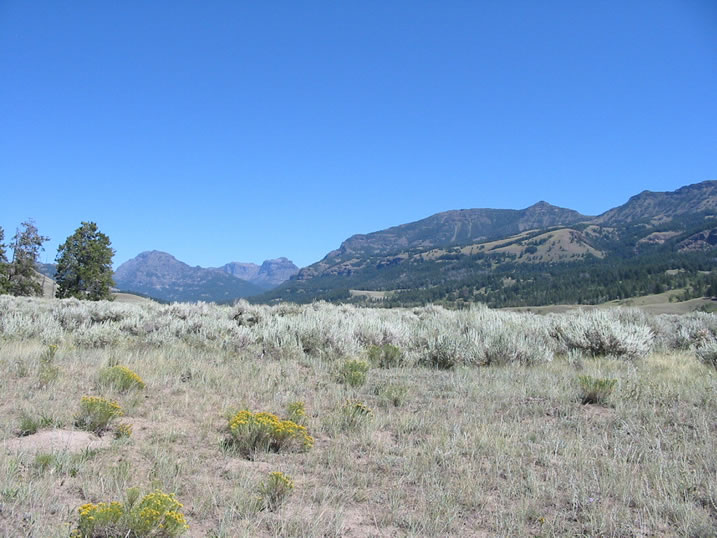 Mountains flank the Lamar Valley