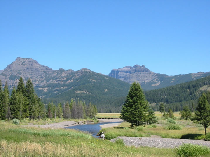 Soda Butte Creek in Yellowstone National Park