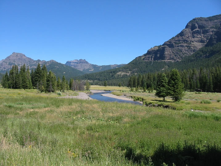 Soda Butte Creek in Yellowstone National Park