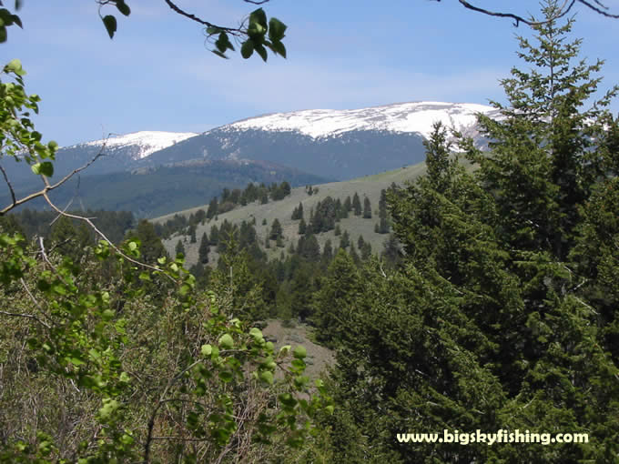 The Belt Mountains