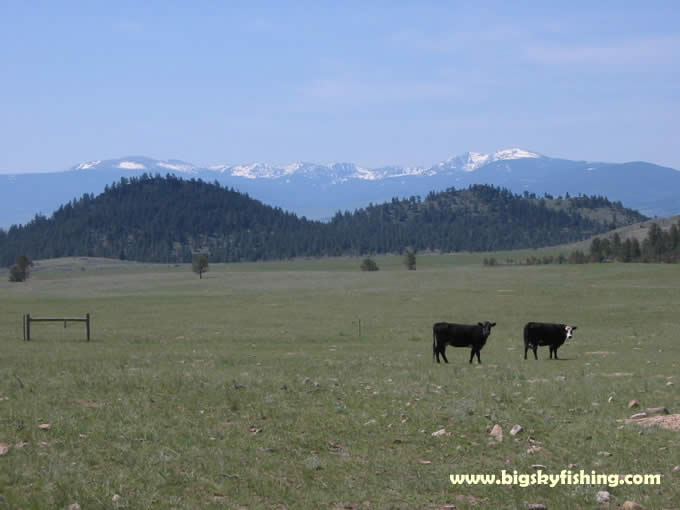 The Belt Mountains On the Eastern Side