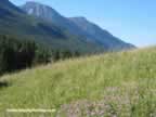 Looking into the Absaroka-Beartooth Wilderness Area (75,001 bytes)