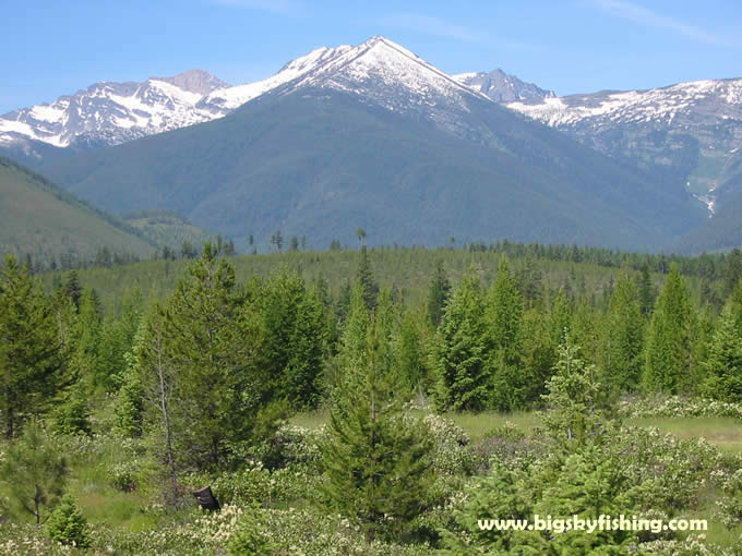 The Cabinet Mountains in Northwest Montana