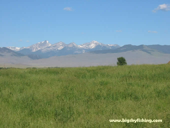 The Pioneer Mountains