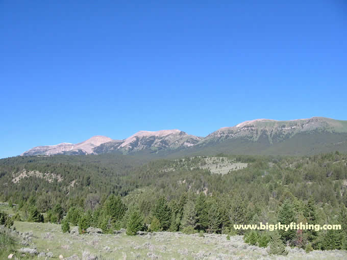 The Snowcrest Range