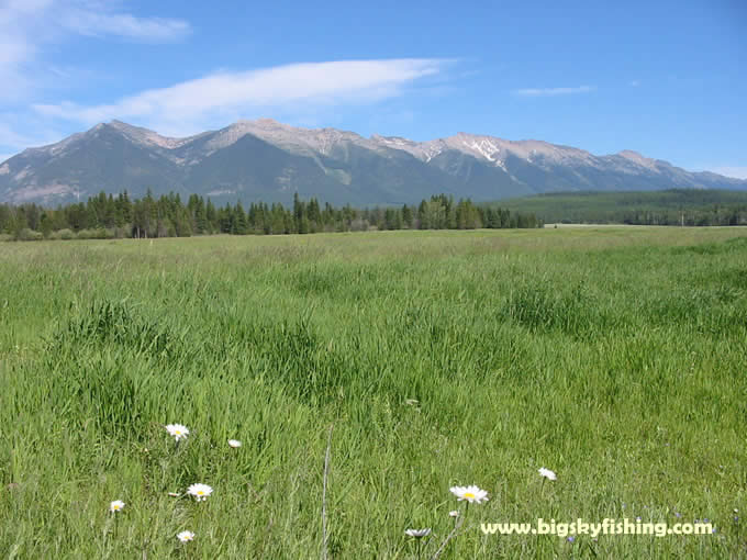 The Swan Mountains