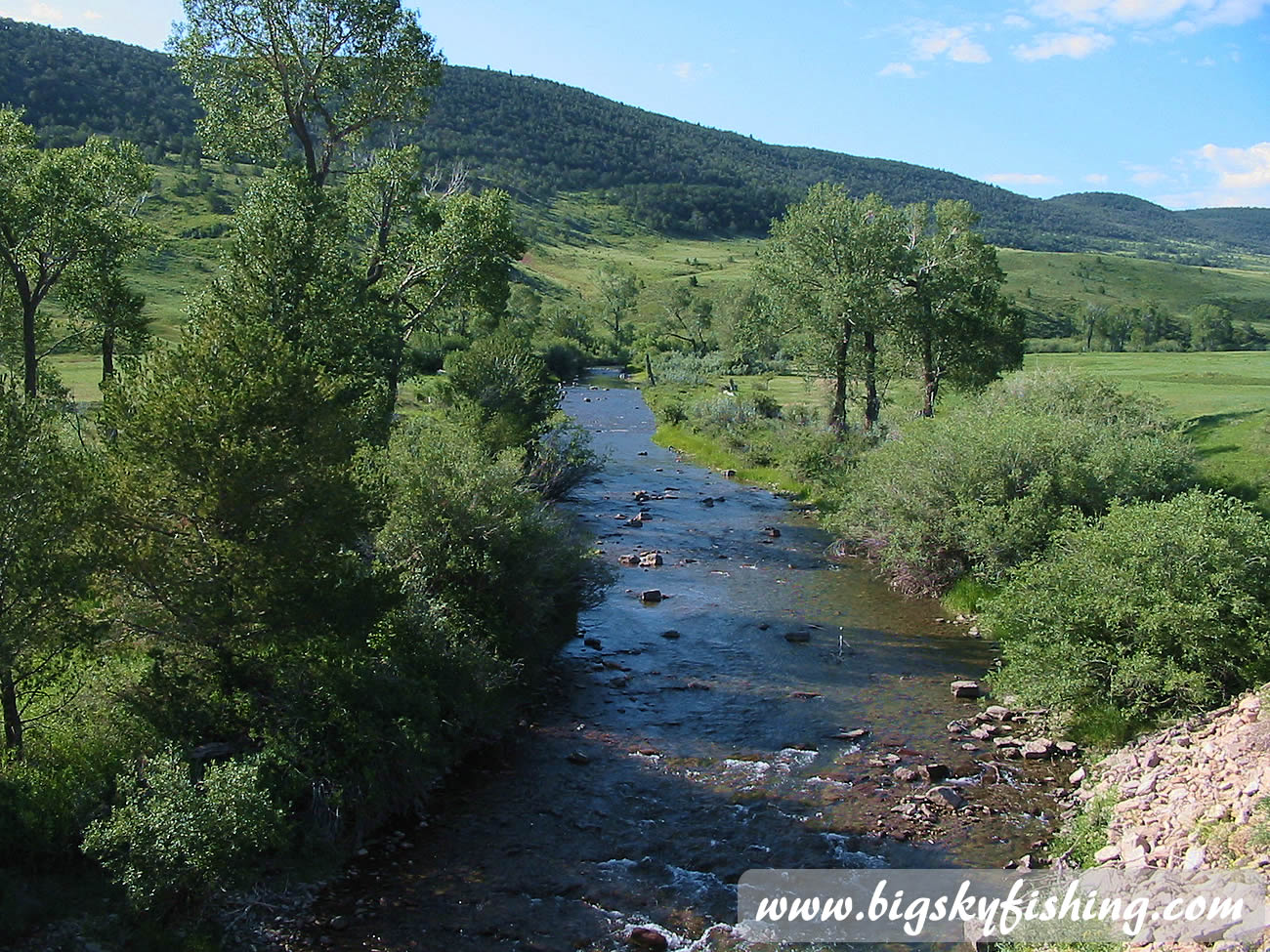 Scenic Valley & the Judith River