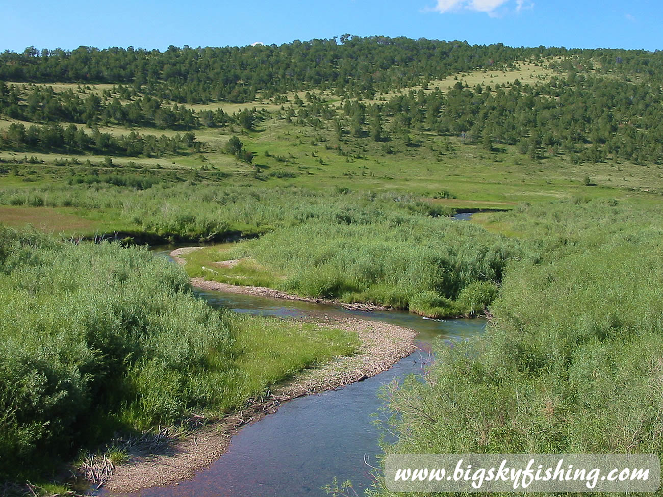 Judith River in a Scenic Valley